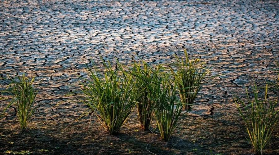 Τραγική για τους αγρότες η κατάσταση με την ανομβρία-Εκτιμά ζημιές το Υπ. Γεωργίας, ζητά στήριξη από ΕΕ