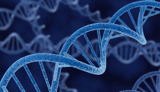 DNA