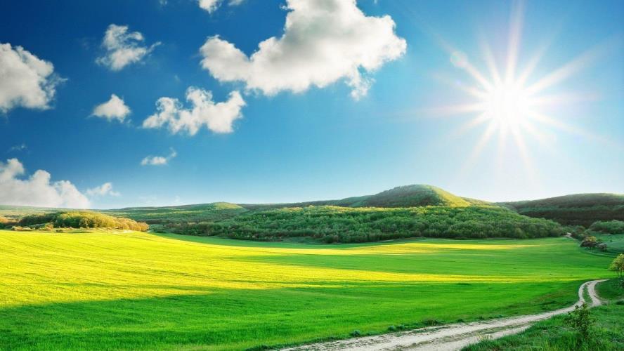 sunny