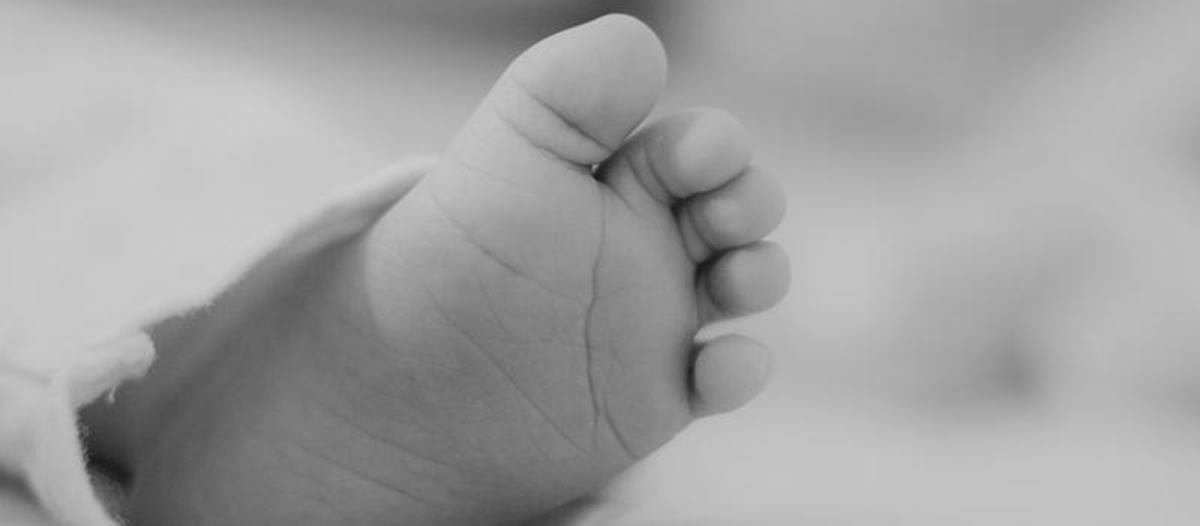 Τραγωδία στα Χανιά, νεκρό βρέφος 2,5 μηνών-Συνελήφθησαν οι γονείς του Τραγωδία στα Χανιά, νεκρό βρέφος 2,5 μηνών-Συνελήφθησαν οι γονείς του