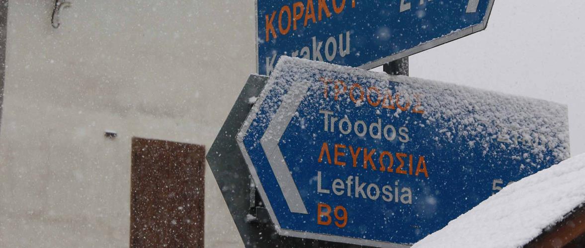 τροοδος
