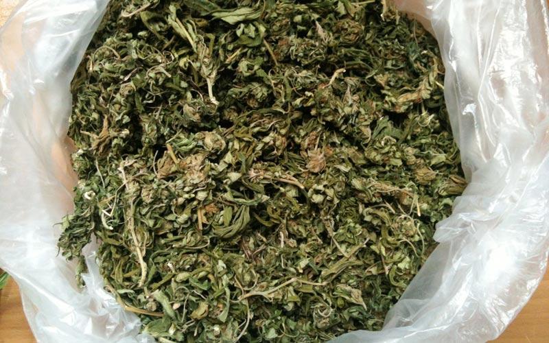 Λευκωσία: Συλλήψεις για ναρκωτικά