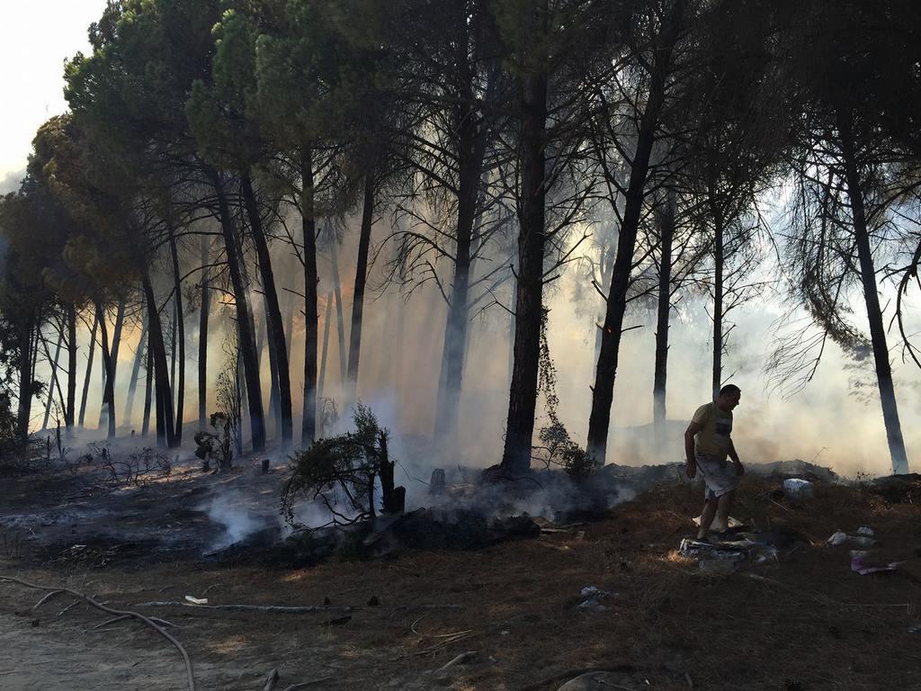 Φωτογραφία Αρχείου