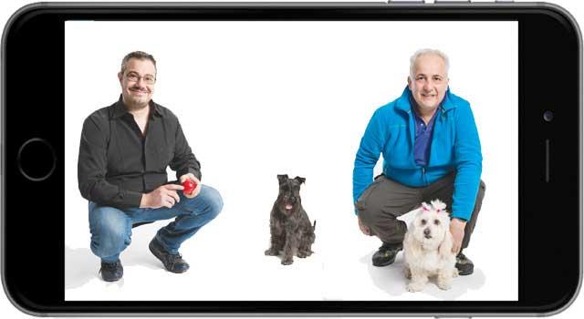 11pets