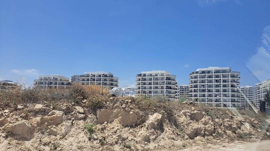 τρικωμο