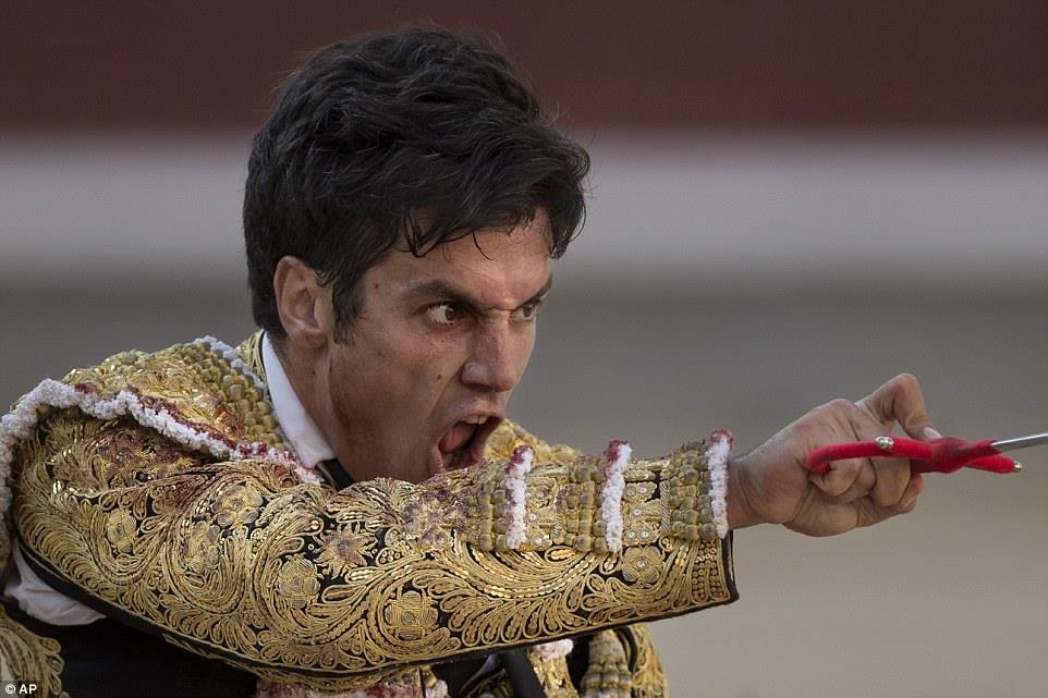 matador