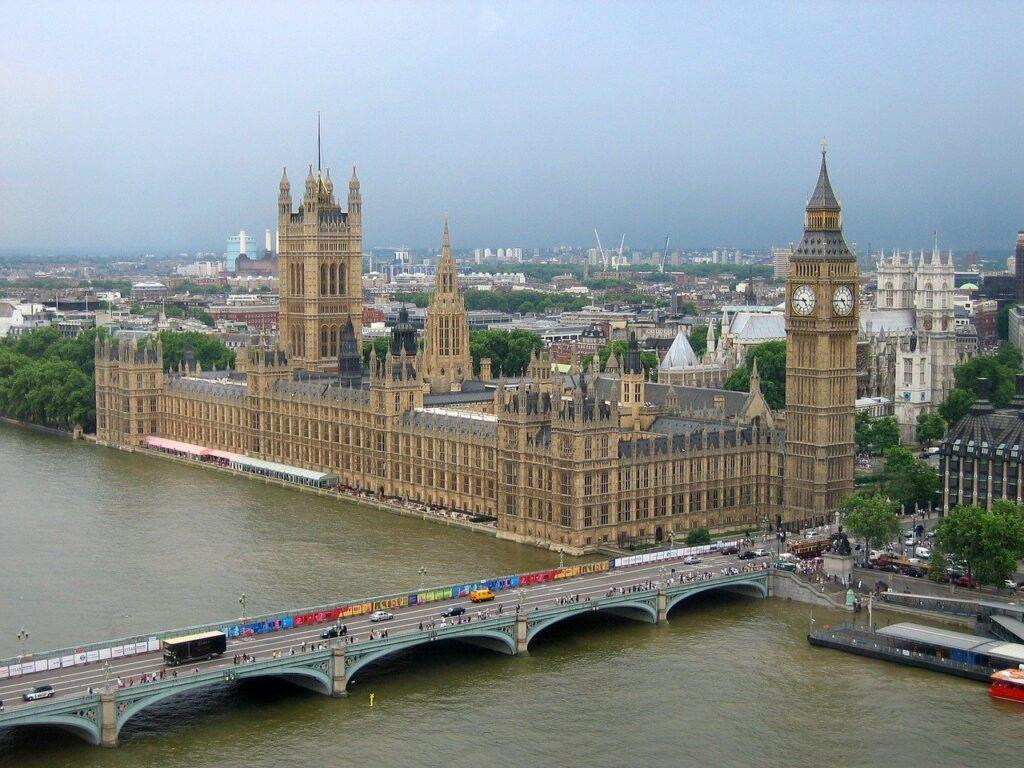 4305913045562263 image