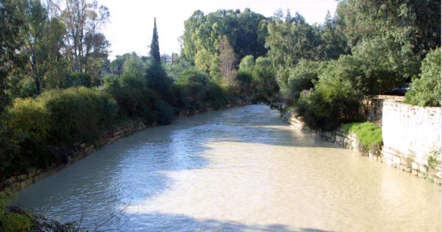 δεντρα