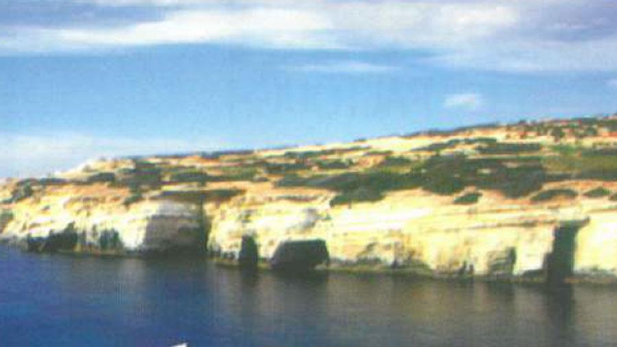 thalassines