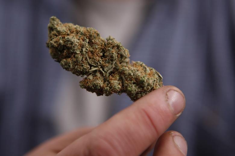 Marijuana