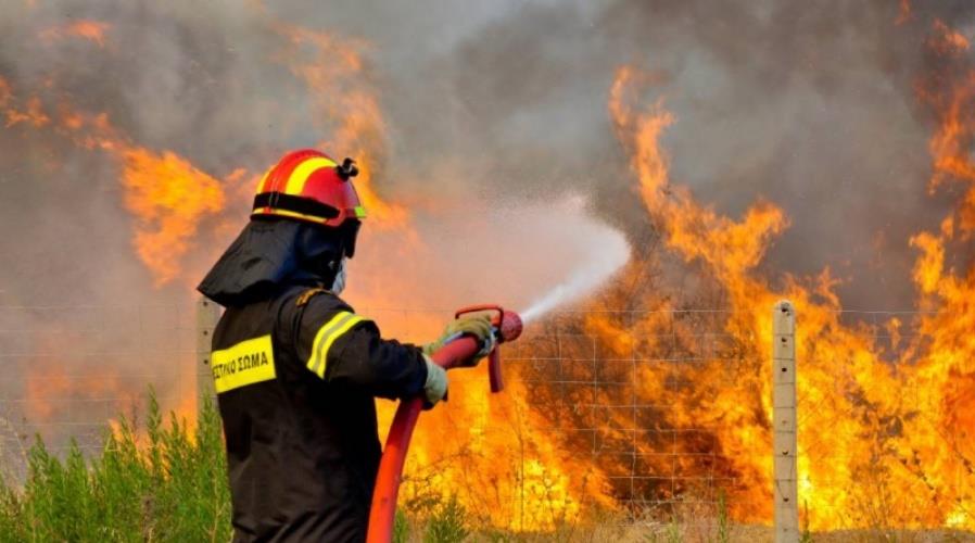 Έριξε κάρβουνα σε χωράφι πλησίον του υποστατικού του και προκάλεσε φωτιά 33χρονος Έριξε κάρβουνα σε χωράφι πλησίον του υποστατικού του και προκάλεσε φωτιά 33χρονος