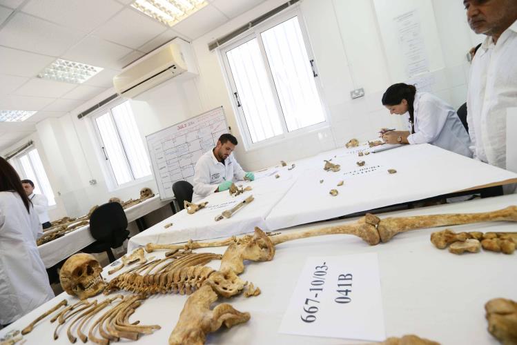 Ανθρωπολογικό Εργαστήρι της ΔΕΑ//CMP Anthropological Laboratory