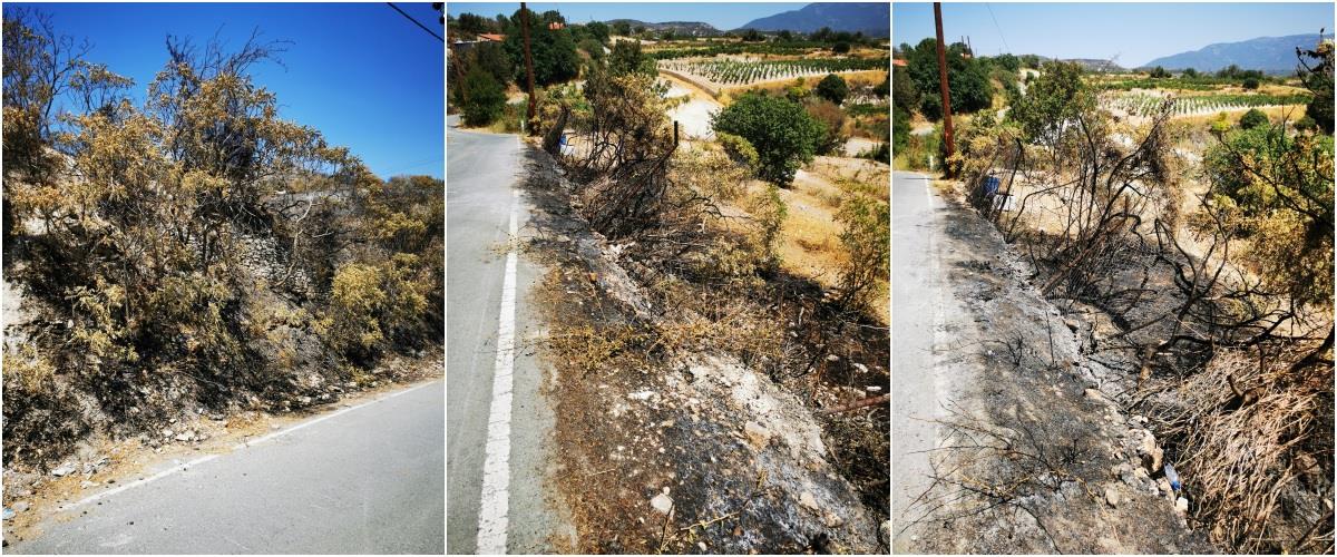 Διαψεύδει την Πυροσβεστική ο Κοινοτάρχης Ομόδους για την πυρκαγιά-«Δεν είχε σκουπίδια» Διαψεύδει την Πυροσβεστική ο Κοινοτάρχης Ομόδους για την πυρκαγιά-«Δεν είχε σκουπίδια»