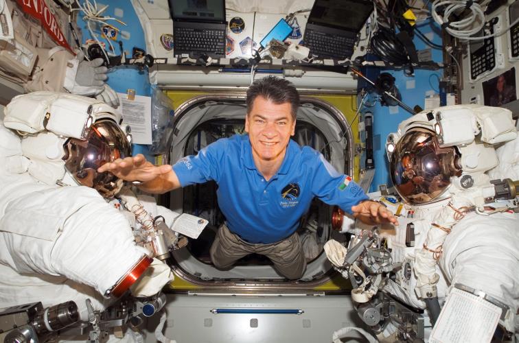 NESPOLI 1