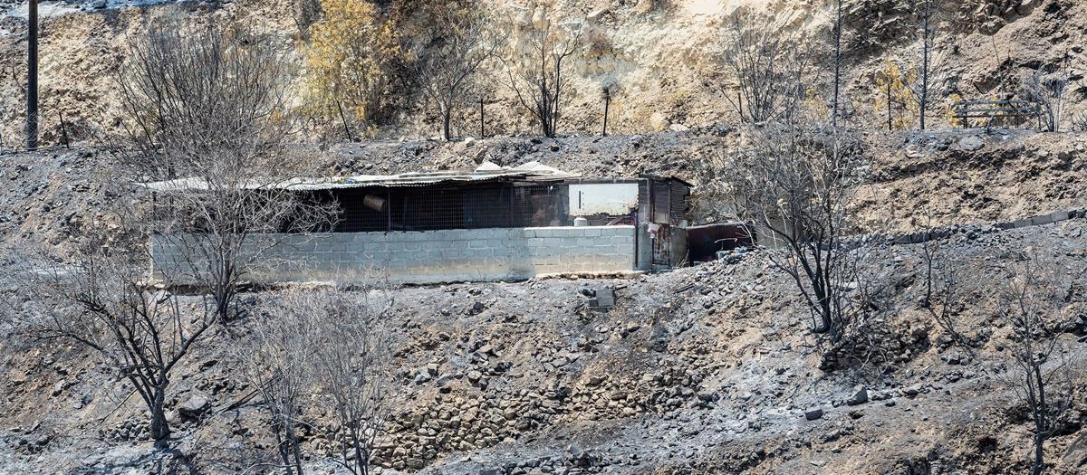 Πιλοτικό σύστημα από το το Ινστιτούτο Κύπρου εντόπισε την εστία καπνού στην ορεινή Λεμεσό Πιλοτικό σύστημα από το το Ινστιτούτο Κύπρου εντόπισε την εστία καπνού στην ορεινή Λεμεσό