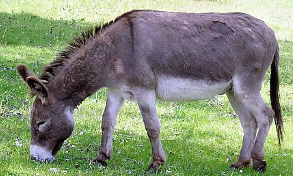 4225512136769963 image