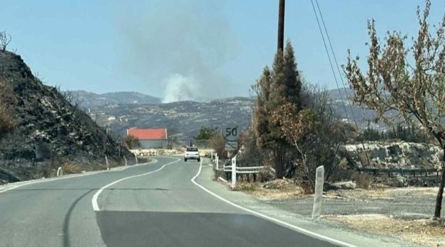 Πυρκαγιά ξέσπασε στην περιοχή του Ομόδους (pic)