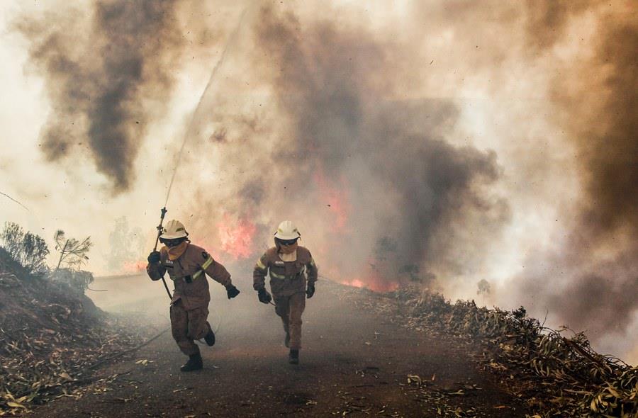 Forest fire in Alvaiazere