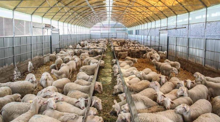 Πράσινο Βουλής στην αναπομπή για τη δημιουργία και λειτουργία κτηνοτροφικών περιοχών Πράσινο Βουλής στην αναπομπή για τη δημιουργία και λειτουργία κτηνοτροφικών περιοχών