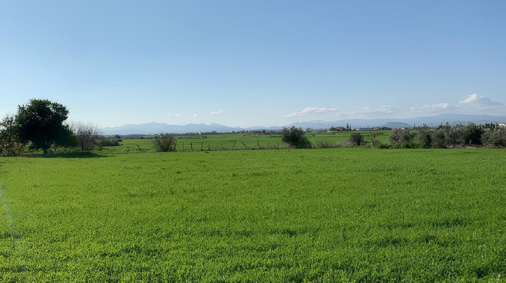 THEMIS: 180+ Plots of Land from €1,000