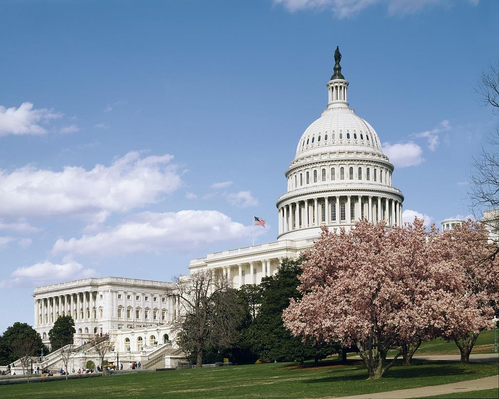 U.S. Capitol Building, Washington D.C.