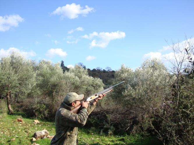 κυνήγι