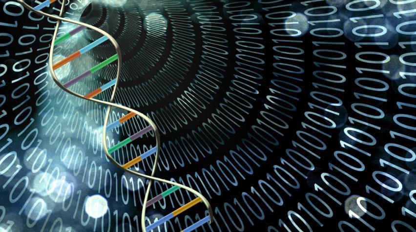 dna