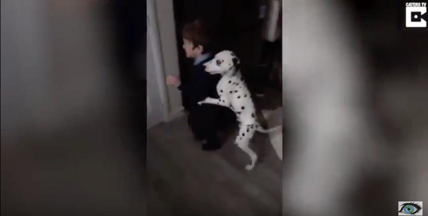viral