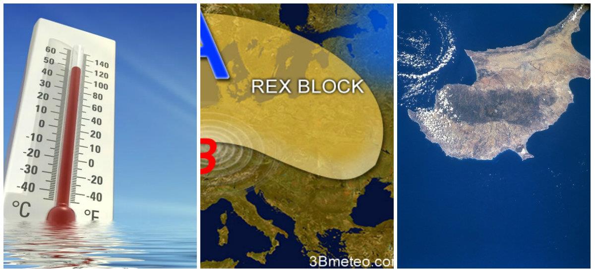 rex