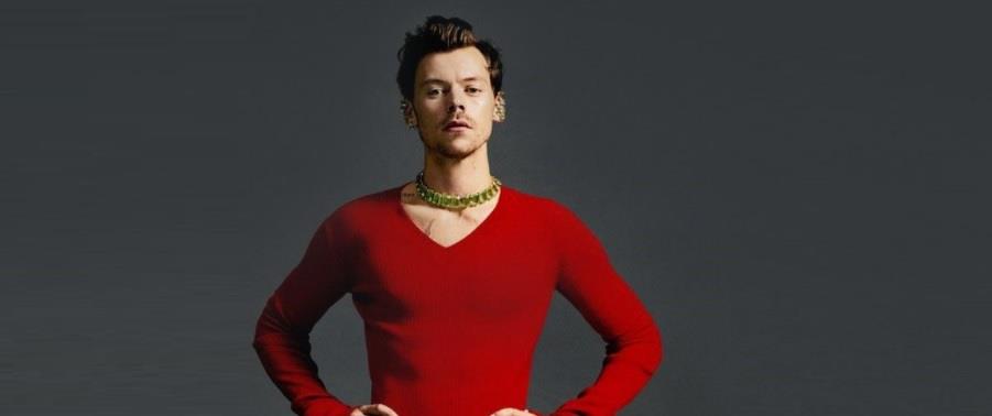 4401609045583837 HARRY STYLES 1