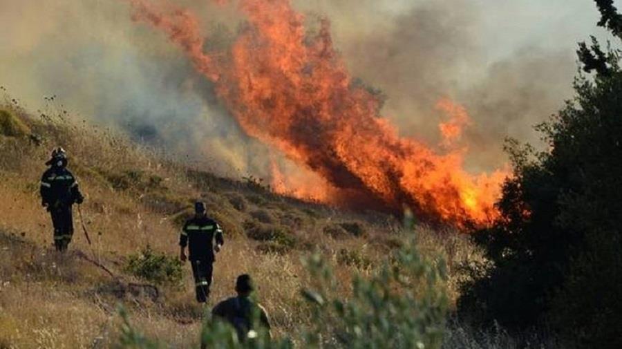 Εικόνα αρχείου