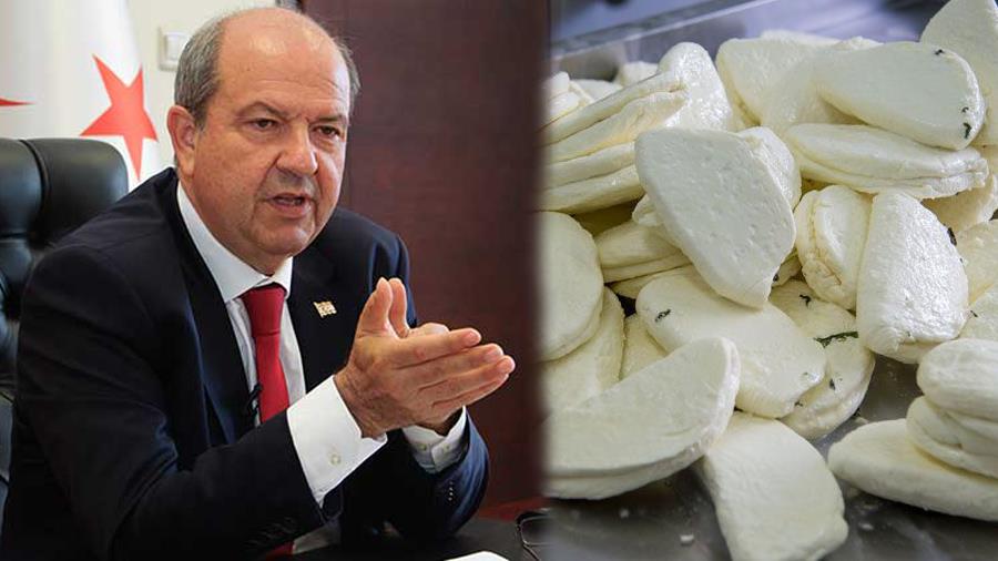 TATAR_900X506