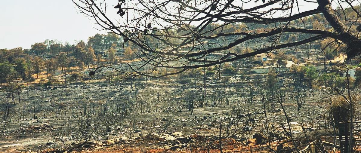 Διαψεύδει η διοικήτρια της Πολιτικής Άμυνας πως βρισκόταν στην παραλία εν μέσω φονικής πυρκαγιάς-«Ήταν στο εξωτερικό στην αποφοίτηση του παιδιού της, προέβη άμεσα σε ενέργειες επιστροφής»