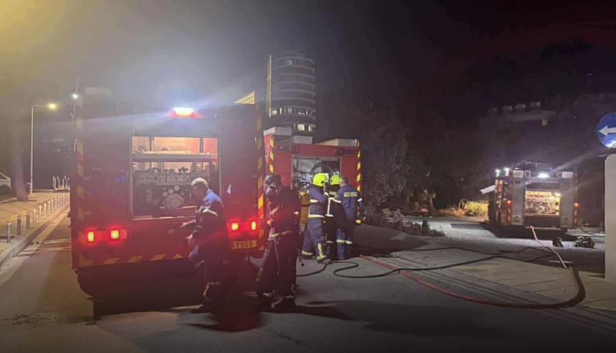 Πυρκαγιά παρά την Αγία Σκέπη-Κάηκαν δέντρα, ζημιές και σε μετασχηματιστή της ΑΗΚ